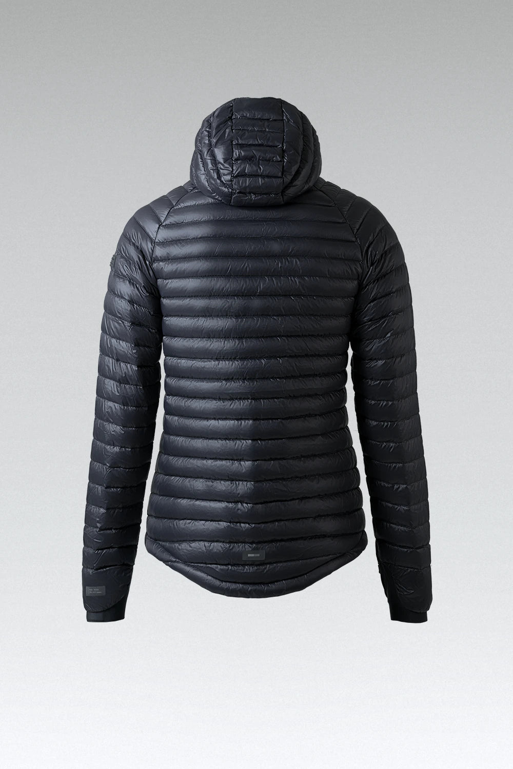 JACKET DISCOVERY WOMEN ROYAL BLACK