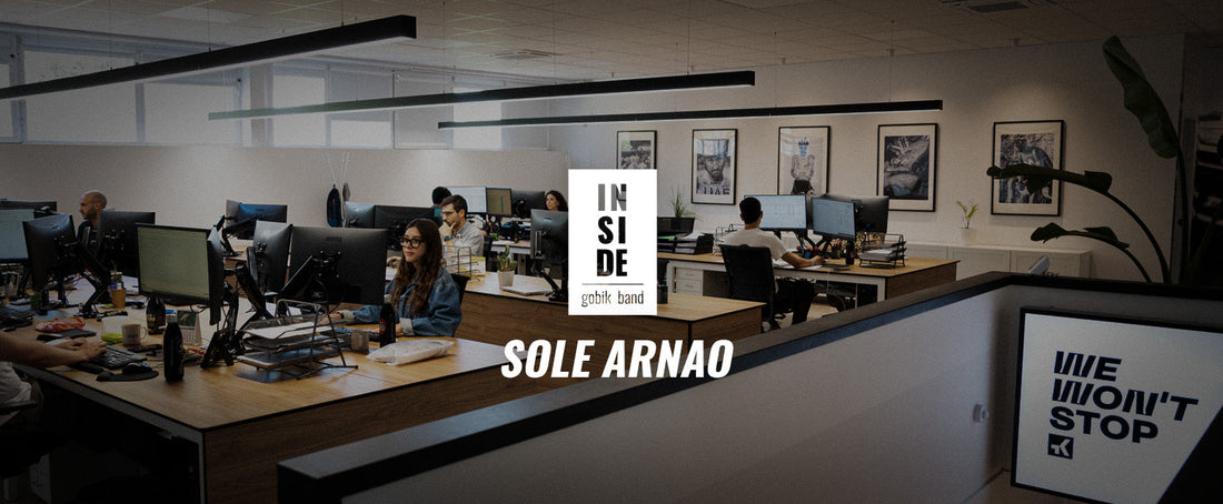 Vista panorámica del lugar de trabajo de Sole Arnao en Gobik Studio