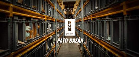 Imagen de portada inside Gobik Pato Bazán