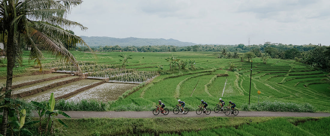 Il Festino: una carrera con esencia