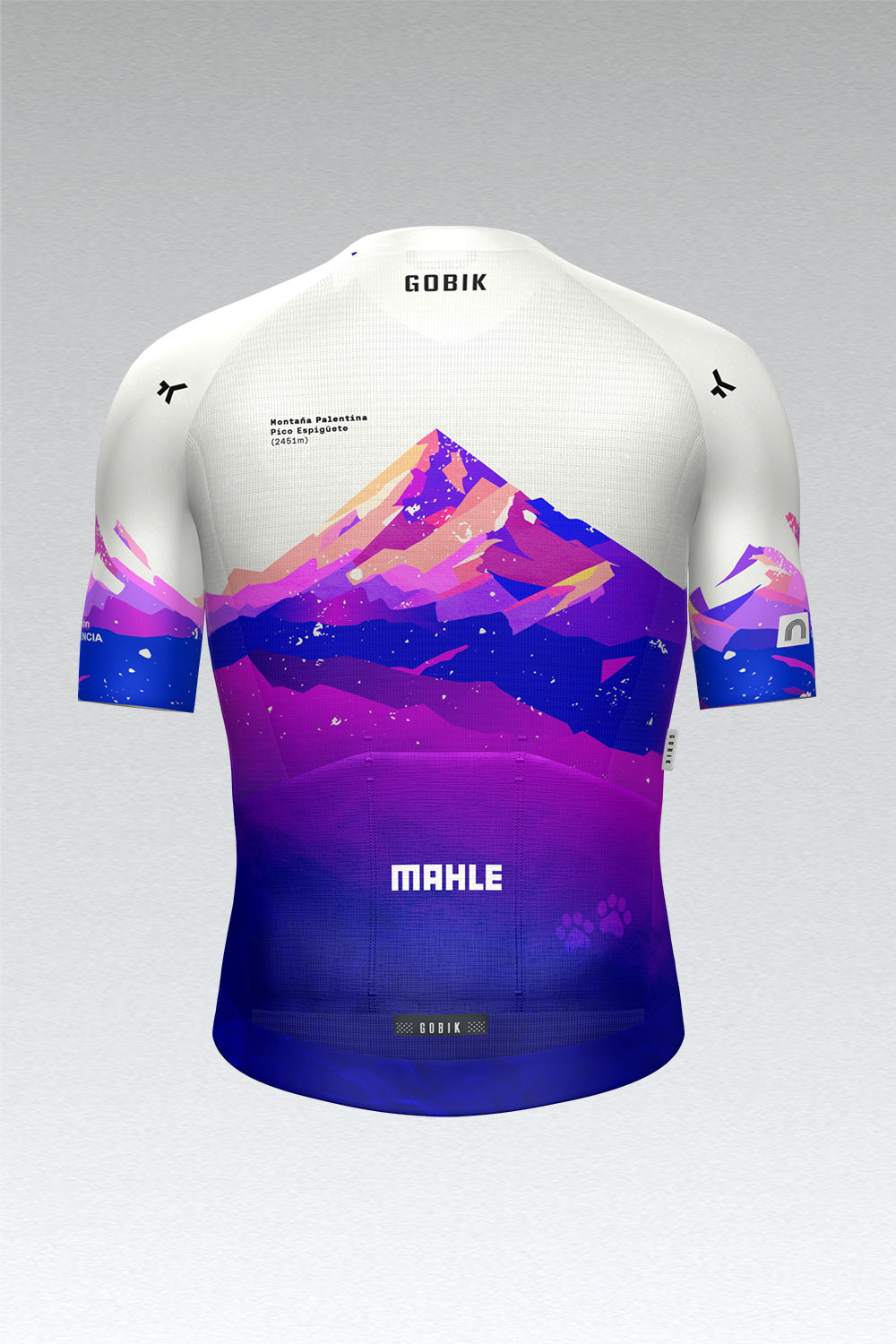 MAILLOT MANGA CORTA CX PRO 3.0 UNISEX MAILLOT MONTAÑA PALENTINA