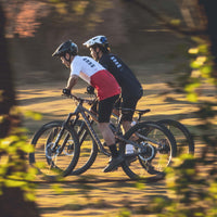 FUNKTIONSSHIRT TERRAIN HERREN WHISTLER 